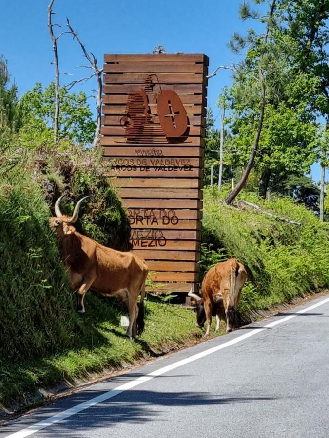 소아주 Casa Da Mimi 빌라 외부 사진